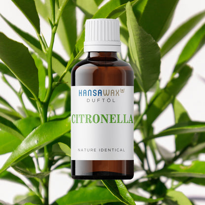Huile parfumée identique à la nature : Citronnelle