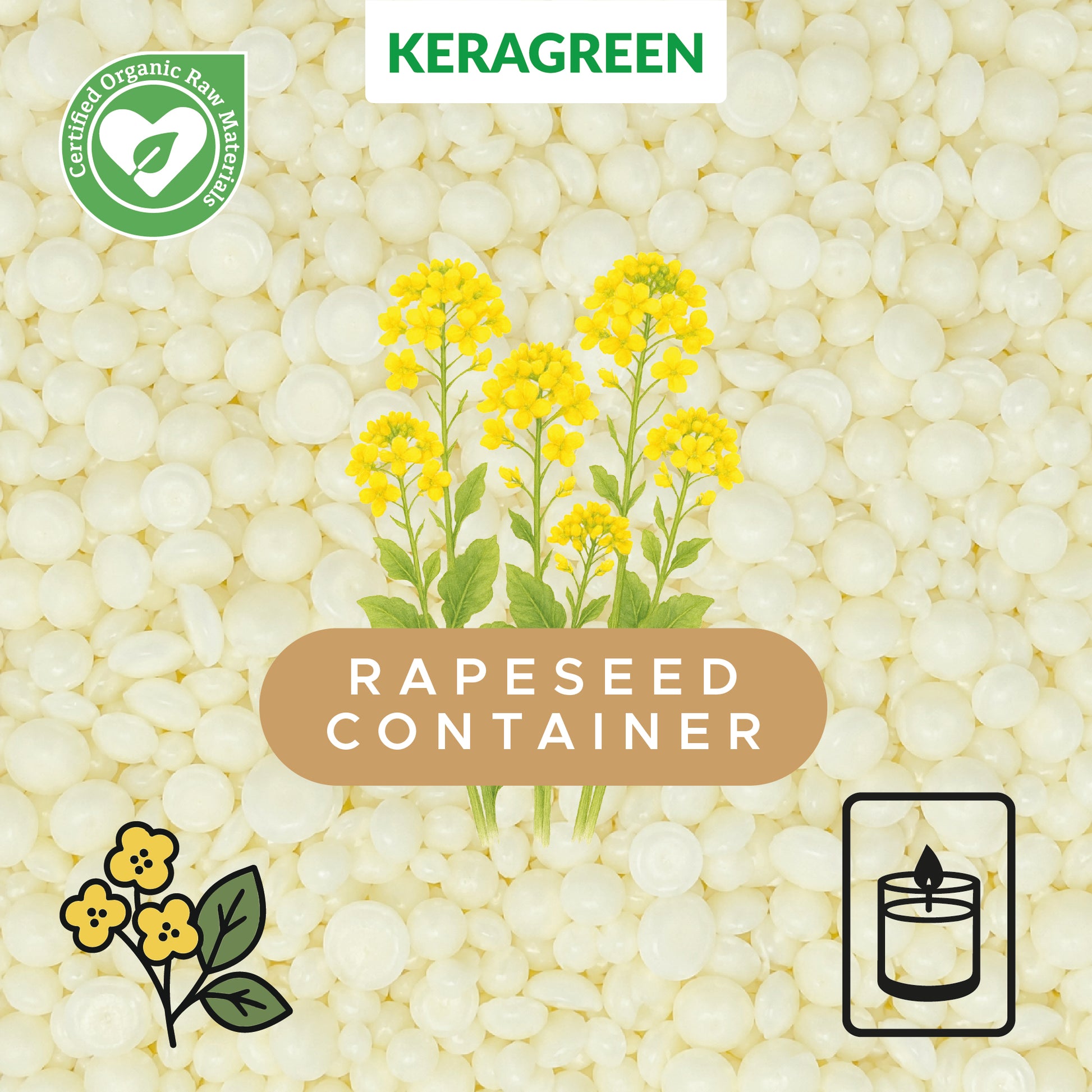 Cera di colza biologica per candele in contenitore 'Keragreen Rapeseed Container'