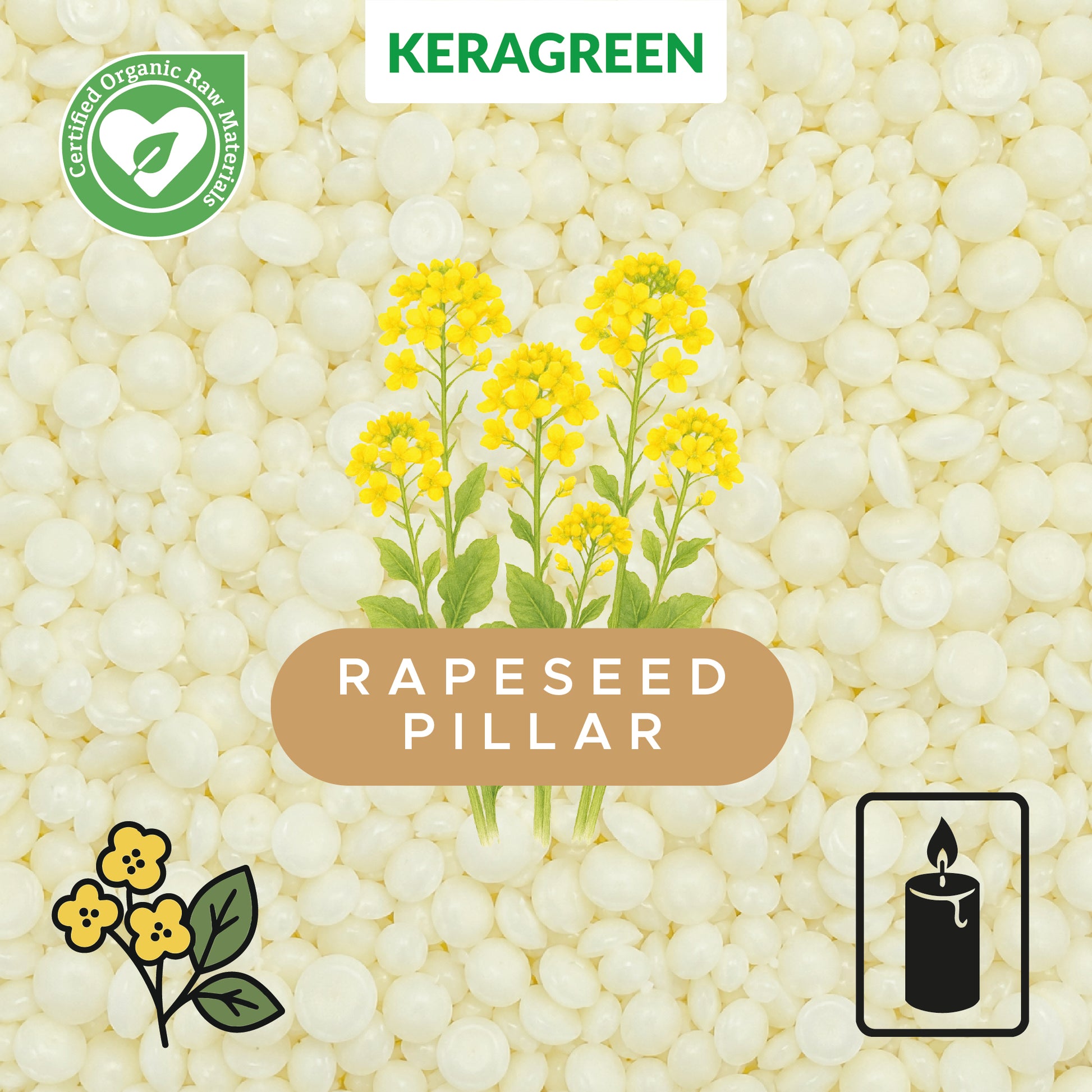 keragreen rapeseed pillar bio rapswachs für standkerzen