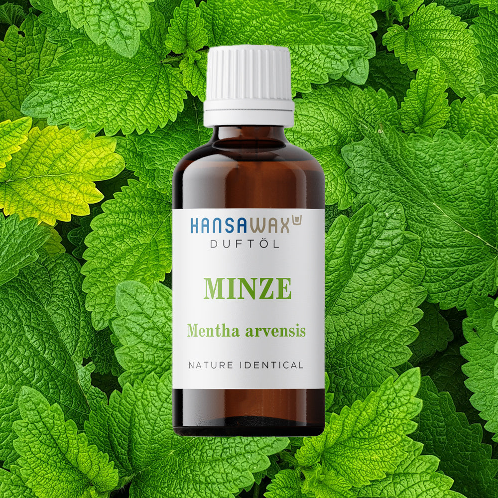 Huile parfumée naturelle : Menthe - Mentha Arvensis