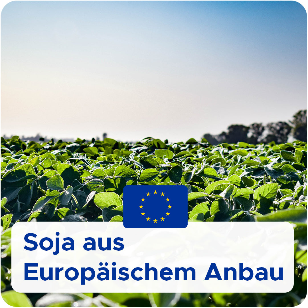 Bio-Sojawachs für Behälterkerzen 'Keragreen Soy Container'